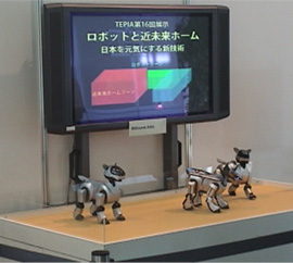 welcome AIBO